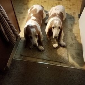 Meet your Posher, Jeff